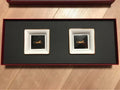 Cartier Vide Poche Panther Mini Tray Plate Leopard Animal Dish 2 set Auth New - DREAMWEAR